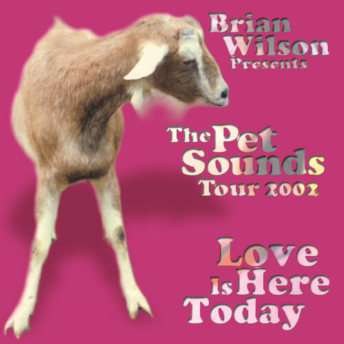 BRIAN WILSON / LOVE IS HERE TODAY