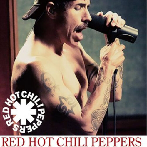RED HOT CHILI PEPPERS / From The Basement