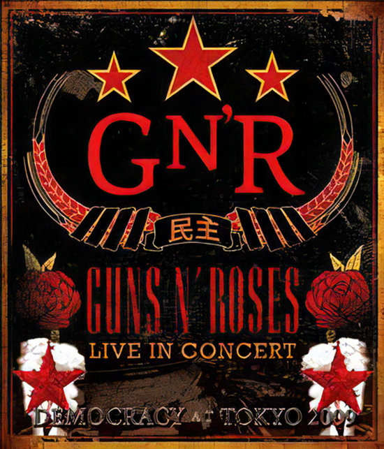 GUNS N' ROSES ガンズアンドローゼズ ブートレグ 19枚 アクセル - CD