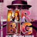 MR.BIG - JAPAN TOUR 1996 AT BUDOKAN