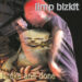 LIMP BIZKIT / BROKE AND DONE